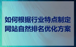 如何根据行业特点制定网站自然排名优化方案