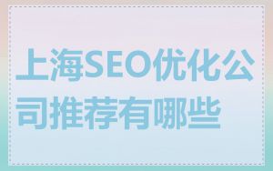 上海SEO优化公司推荐有哪些