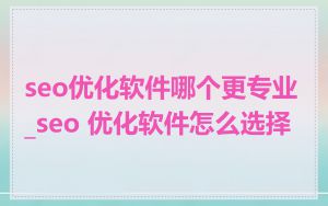 seo优化软件哪个更专业_seo 优化软件怎么选择