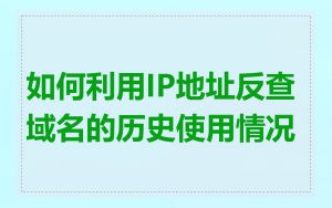 如何利用IP地址反查域名的历史使用情况