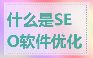 什么是SEO软件优化
