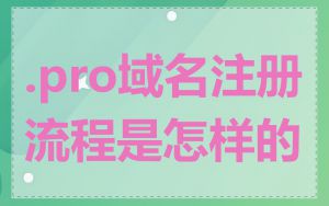 .pro域名注册流程是怎样的