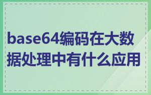 base64编码在大数据处理中有什么应用