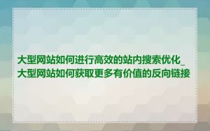 大型网站如何进行高效的站内搜索优化_大型网站如何获取更多有价值的反向链接