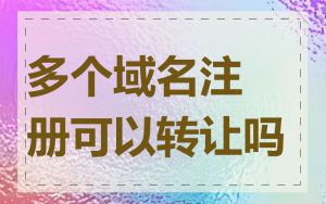 多个域名注册可以转让吗