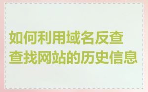 如何利用域名反查查找网站的历史信息