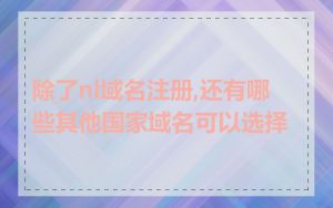 除了nl域名注册,还有哪些其他国家域名可以选择