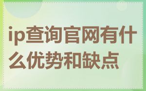 ip查询官网有什么优势和缺点