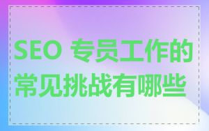 SEO 专员工作的常见挑战有哪些