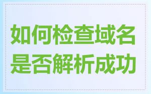 如何检查域名是否解析成功