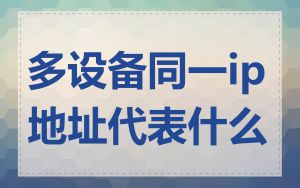 多设备同一ip地址代表什么