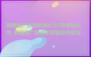 网络推广的目的是什么?有哪些优势_网络推广的成本预算如何制定