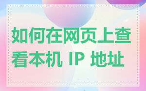 如何在网页上查看本机 IP 地址
