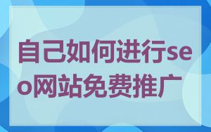 自己如何进行seo网站免费推广
