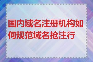 国内域名注册机构如何规范域名抢注行为