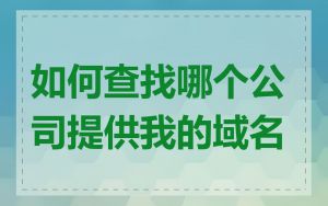 如何查找哪个公司提供我的域名