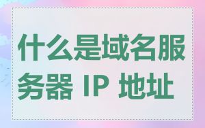 什么是域名服务器 IP 地址