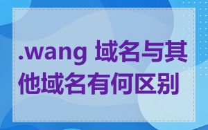 .wang 域名与其他域名有何区别
