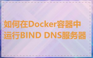 如何在Docker容器中运行BIND DNS服务器