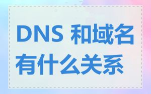 DNS 和域名有什么关系