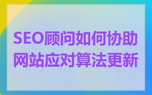 SEO顾问如何协助网站应对算法更新