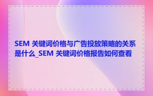 SEM 关键词价格与广告投放策略的关系是什么_SEM 关键词价格报告如何查看