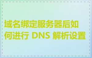 域名绑定服务器后如何进行 DNS 解析设置