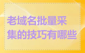 老域名批量采集的技巧有哪些