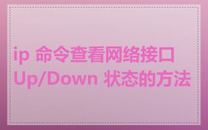 ip 命令查看网络接口 Up/Down 状态的方法