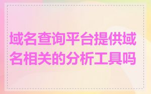 域名查询平台提供域名相关的分析工具吗