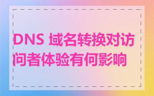 DNS 域名转换对访问者体验有何影响