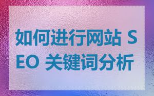 如何进行网站 SEO 关键词分析