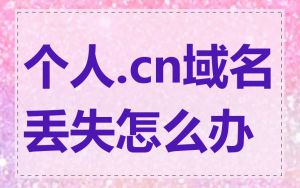 个人.cn域名丢失怎么办