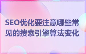 SEO优化要注意哪些常见的搜索引擎算法变化
