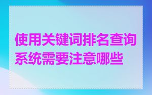 使用关键词排名查询系统需要注意哪些