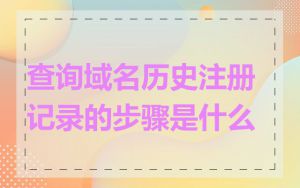 查询域名历史注册记录的步骤是什么