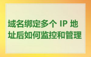域名绑定多个 IP 地址后如何监控和管理