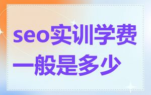 seo实训学费一般是多少