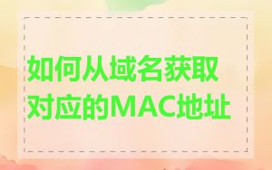 如何从域名获取对应的MAC地址