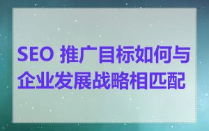 SEO 推广目标如何与企业发展战略相匹配
