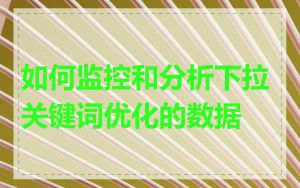 如何监控和分析下拉关键词优化的数据