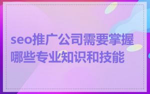 seo推广公司需要掌握哪些专业知识和技能