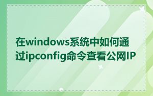 在windows系统中如何通过ipconfig命令查看公网IP