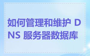 如何管理和维护 DNS 服务器数据库