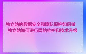 独立站的数据安全和隐私保护如何做_独立站如何进行网站维护和技术升级