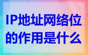IP地址网络位的作用是什么
