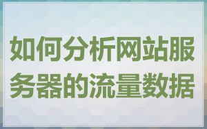 如何分析网站服务器的流量数据