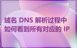 域名 DNS 解析过程中如何看到所有对应的 IP