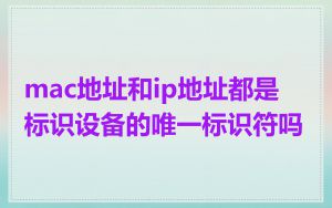 mac地址和ip地址都是标识设备的唯一标识符吗