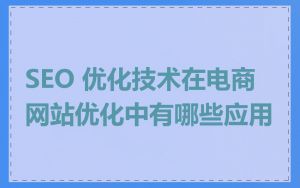 SEO 优化技术在电商网站优化中有哪些应用